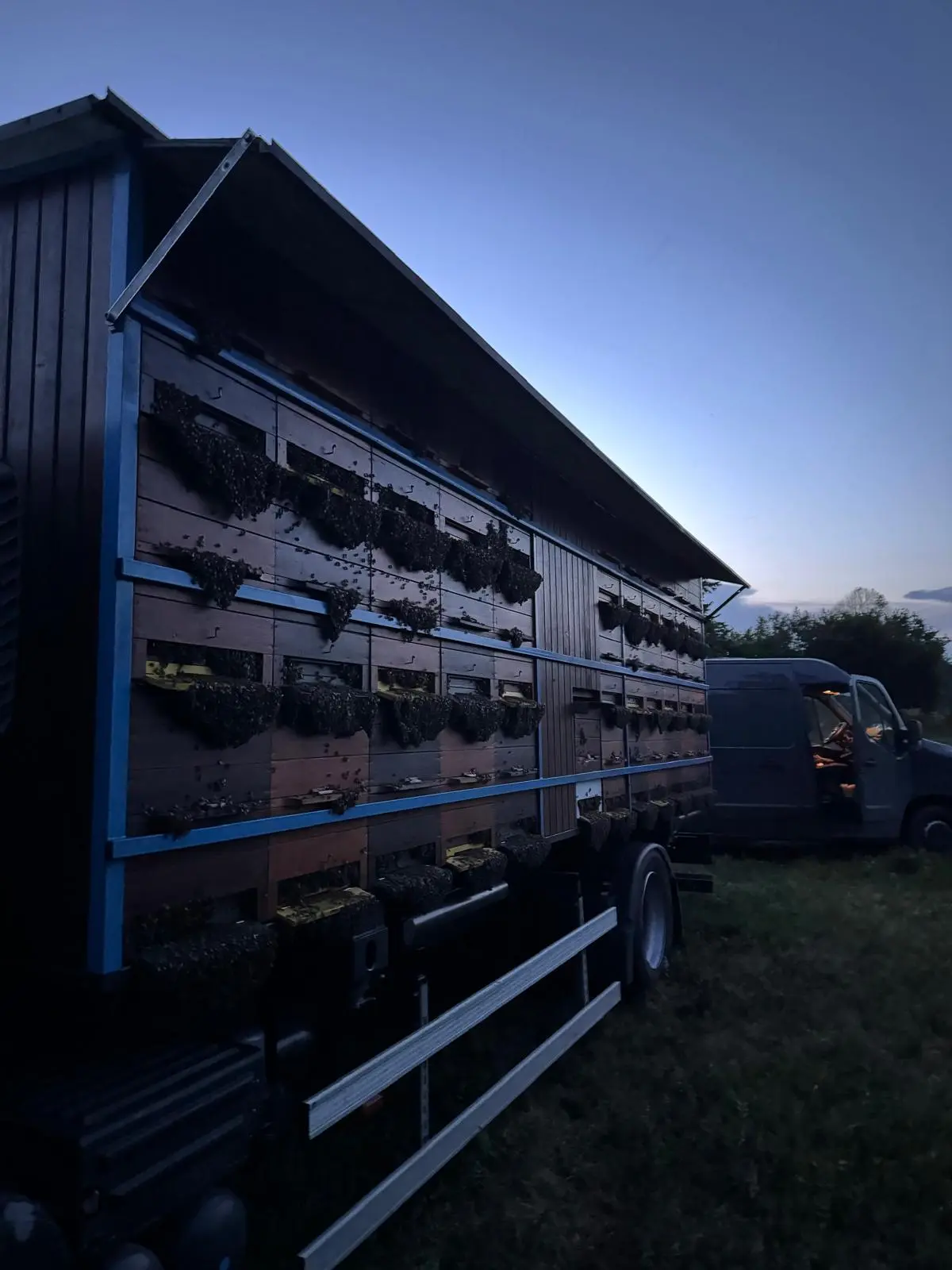 Prevozno čebelarstvo 25